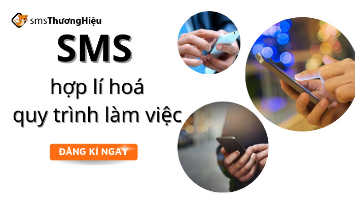 sms-hop-li-hoa-quy-trinh-lam-viec