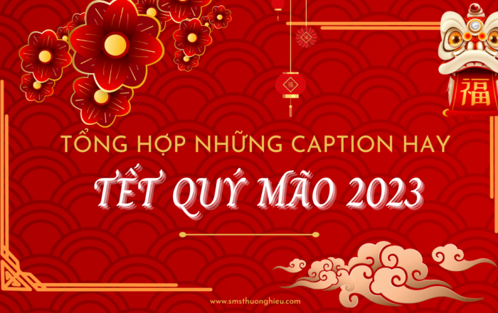 Tổng hợp những caption tết hay
