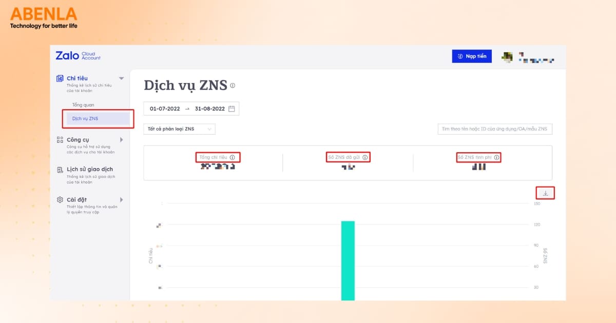 Báo cáo chi tiết về ZNS